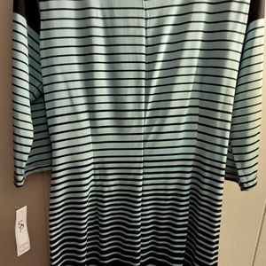 Aqua/ black stripe dress